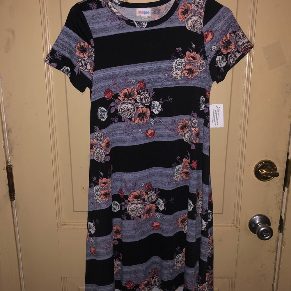 Lularoe XXS Carly